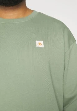 Scotch & Soda Seasonal Essentials Classic Logo Badge - Sudadera - Army -Blen Ropa Comercio 2f576dbd9425475ebd51431c99598b32