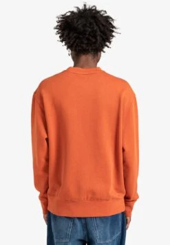 Element Cornell 3 0 - Sudadera - Picante -Blen Ropa Comercio 5b3dd02fda114fb3a77584329c71d9ca