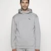 Puma Rad/Cal Hoodie - Jersey Con Capucha - Concrete Gray -Blen Ropa Comercio 5d4120d7658a4fbab0fb5864ead8587e