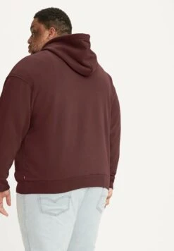 Levi's® Plus Relaxed Graphic Poster - Jersey Con Capucha - Neutrals -Blen Ropa Comercio 8ca06fec25f343eca0c930dc2e196665