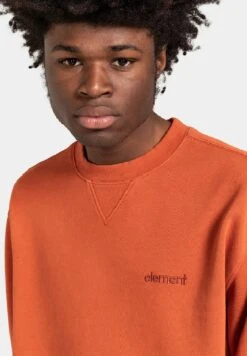 Element Cornell 3 0 - Sudadera - Picante -Blen Ropa Comercio a1010b8b29e94a22b27710f8f3813c83