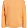 Jack & Jones Jjestar BasicCrew Neck Noos - Sudadera - Pumpkin 2 Jack & Jones Jjestar BasicCrew Neck Noos - Sudadera - Pumpkin -Blen Ropa Comercio af85ffefe1634d7b94cb6ace668fdbb3