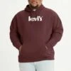 Levi's® Plus Relaxed Graphic Poster - Jersey Con Capucha - Neutrals -Blen Ropa Comercio b31971e783234c61b4fe17e5177d5d5a